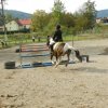Babie Lato 2016
